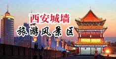 男人几把操女生网站中国陕西-西安城墙旅游风景区