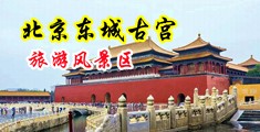 www.国产操逼中国北京-东城古宫旅游风景区
